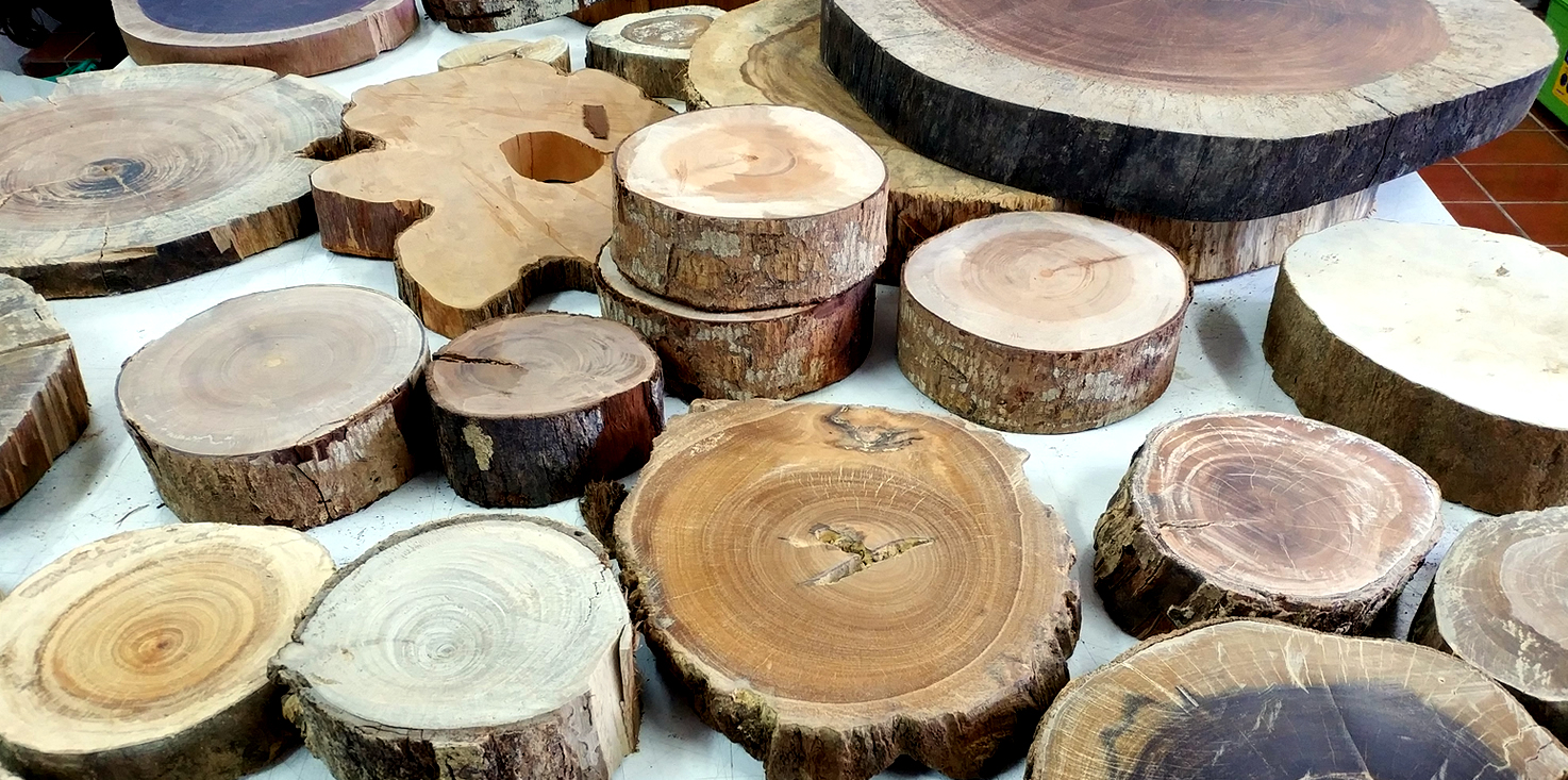 Várias amostras de madeira sobre uma mesa