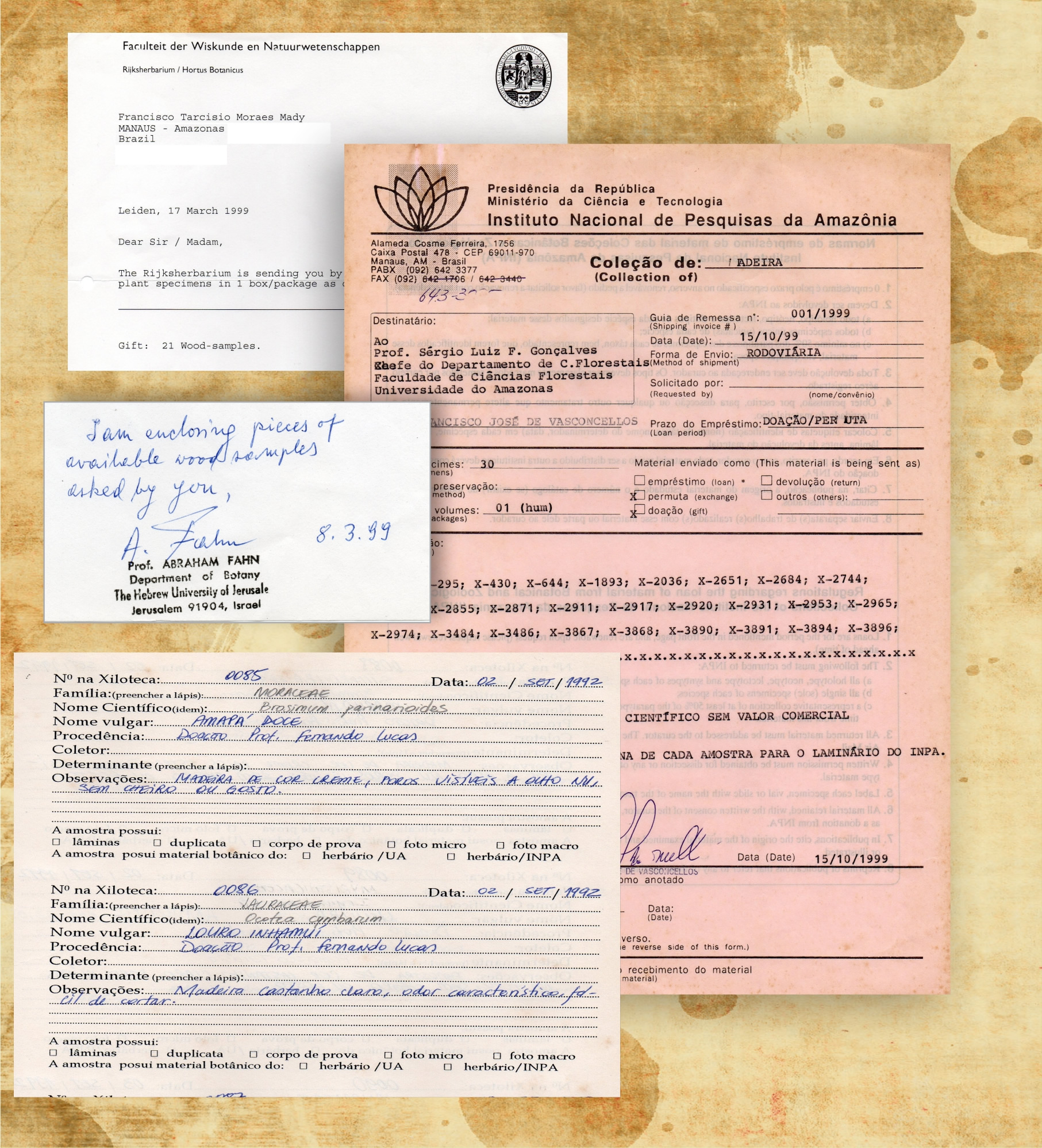 Documentos de doação de madeiras à xiloteca da UFAM